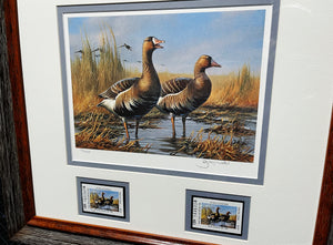 Gary Moss - 1987 Texas Waterfowl Duck Stamp Print With Double Stamps - Brand New Custom Sporting Frame