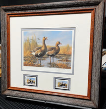 Load image into Gallery viewer, Gary Moss - 1987 Texas Waterfowl Duck Stamp Print With Double Stamps - Brand New Custom Sporting Frame