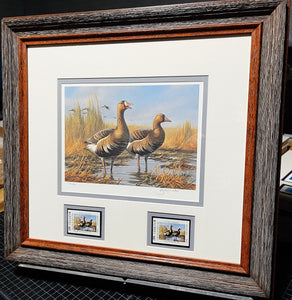 Gary Moss - 1987 Texas Waterfowl Duck Stamp Print With Double Stamps - Brand New Custom Sporting Frame