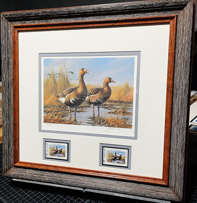 Gary Moss 1987 Texas Waterfowl Duck Stamp Print With Double Stamps - Brand New Super Custom Sporting Frame