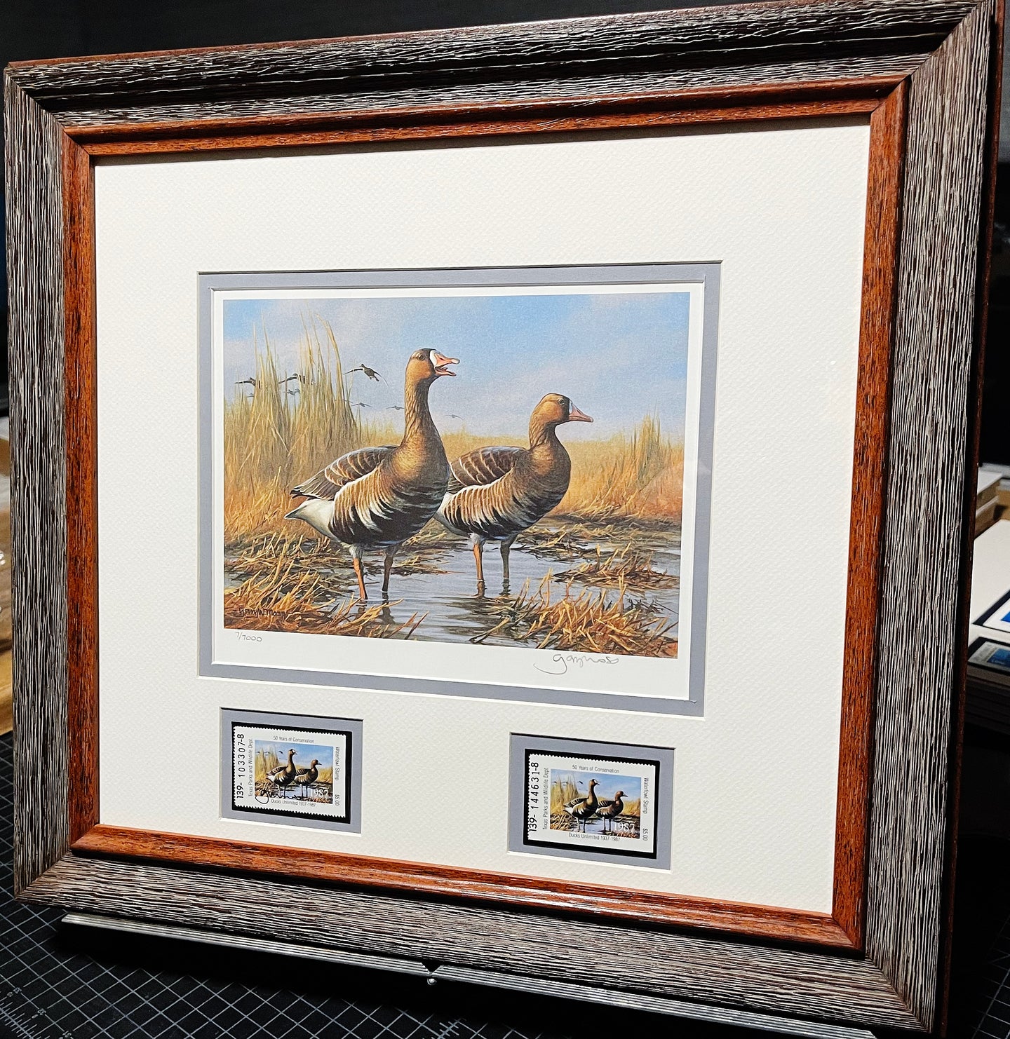 Gary Moss - 1987 Texas Waterfowl Duck Stamp Print With Double Stamps - Brand New Custom Sporting Frame