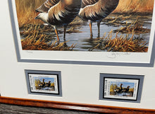 Load image into Gallery viewer, Gary Moss - 1987 Texas Waterfowl Duck Stamp Print With Double Stamps - Brand New Custom Sporting Frame