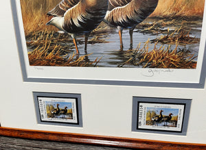 Gary Moss - 1987 Texas Waterfowl Duck Stamp Print With Double Stamps - Brand New Custom Sporting Frame