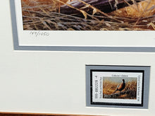 Load image into Gallery viewer, Gary Moss - 2013 Texas Texas Upland Game Bird Stamp Print With Stamp - Brand New Custom Sporting Frame