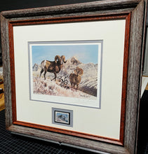 Load image into Gallery viewer, Gary Swanson 1980 Foundation For North American Wild Sheep Conservation Stamp Print With Stamp - Brand New Super Custom Sporting Frame