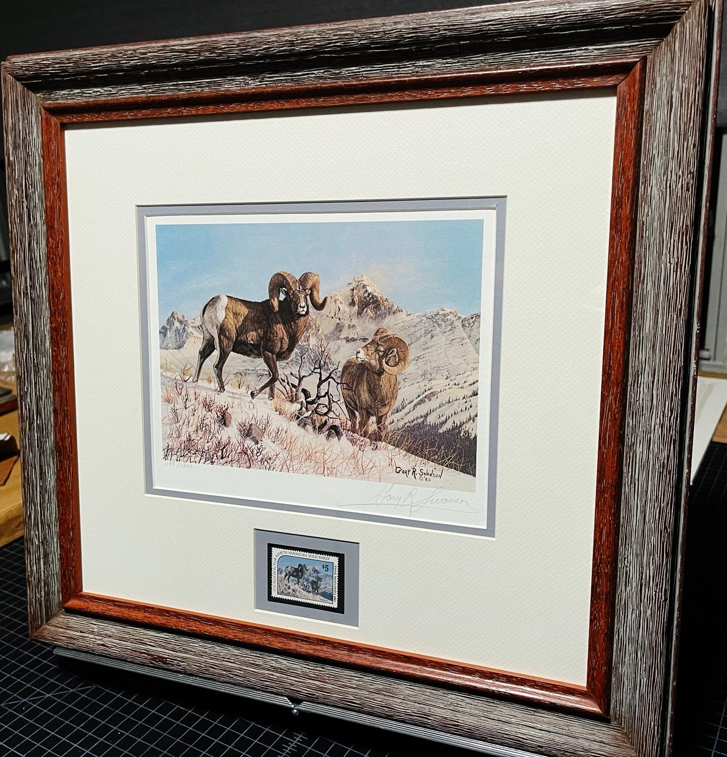 Gary Swanson - 1980 Foundation For North American Wild Sheep Conservation Stamp Print With Stamp - Brand New Custom Sporting Frame