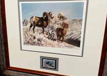 Load image into Gallery viewer, Gary Swanson 1980 Foundation For North American Wild Sheep Conservation Stamp Print With Stamp - Brand New Super Custom Sporting Frame