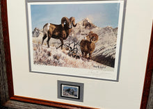Load image into Gallery viewer, Gary Swanson - 1980 Foundation For North American Wild Sheep Conservation Stamp Print With Stamp - Brand New Custom Sporting Frame