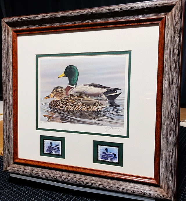 Gerald Mobley 1985 Oklahoma Department Of Wildlife Conservation Stamp Print With Double Stamps - Brand New Super Custom Sporting Frame