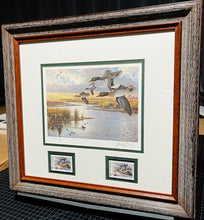 Load image into Gallery viewer, Herb Booth - 1986 Texas Waterfowl Duck Stamp Print With Double Stamps - Brand New Custom Sporting Frame