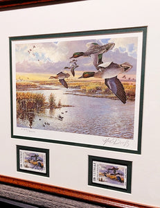 Herb Booth - 1986 Texas Waterfowl Duck Stamp Print With Double Stamps - Brand New Custom Sporting Frame