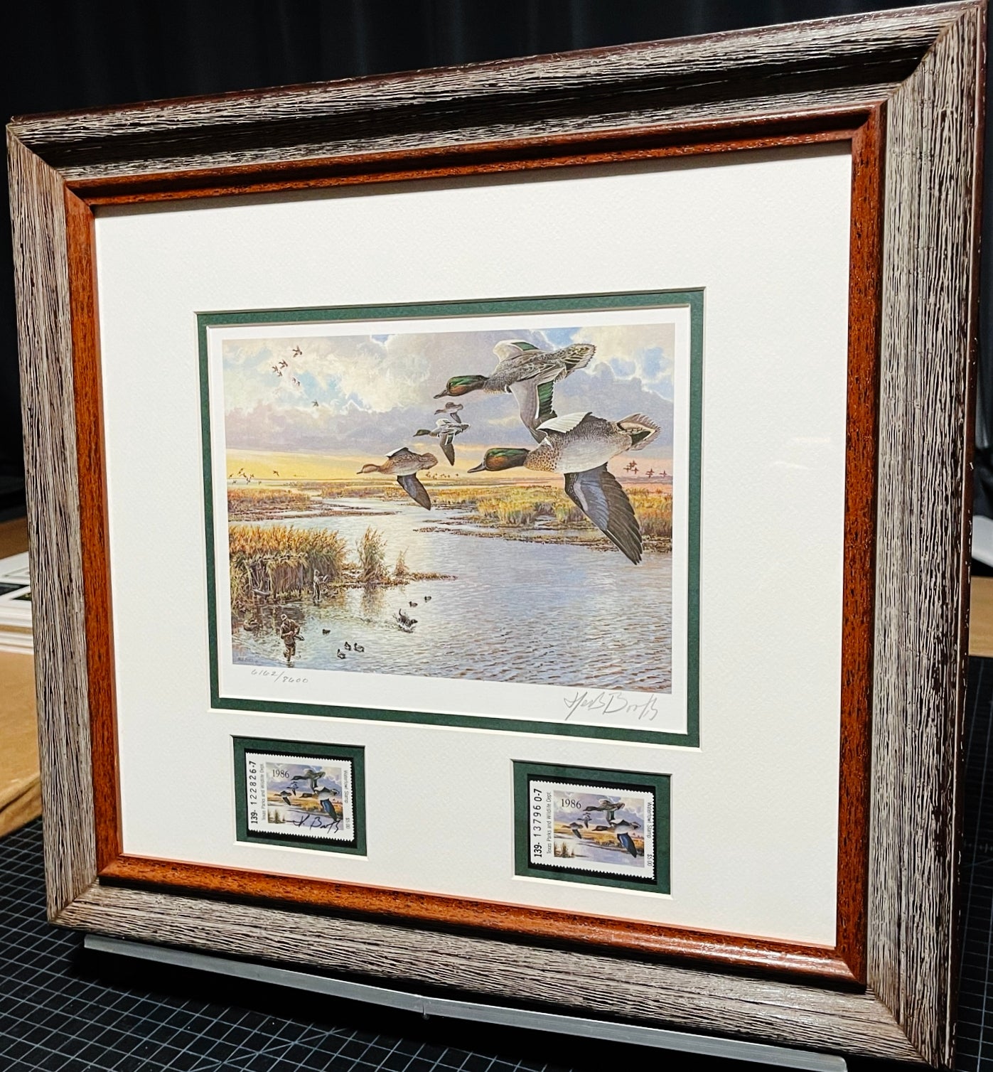 Herb Booth - 1986 Texas Waterfowl Duck Stamp Print With Double Stamps - Brand New Custom Sporting Frame