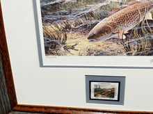 Load image into Gallery viewer, Herb Booth - 1990 Coastal Conservation Association CCA Stamp Print With Stamp - Brand New Custom Sporting Frame