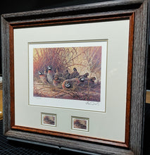 Load image into Gallery viewer, Herb Booth - 1996 Texas Quail Stamp Print With Double Stamps - Brand New Custom Sporting Frame