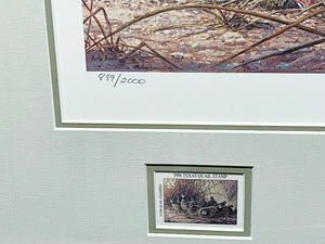 Herb Booth - 1996 Texas Quail Stamp Print With Double Stamps - Brand New Custom Sporting Frame