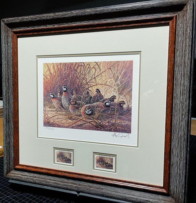 Herb Booth 1996 Texas Quail Stamp Print With Double Stamps - Brand New Super Custom Sporting Frame