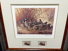 Load image into Gallery viewer, Herb Booth - 1996 Texas Quail Stamp Print With Double Stamps - Brand New Custom Sporting Frame