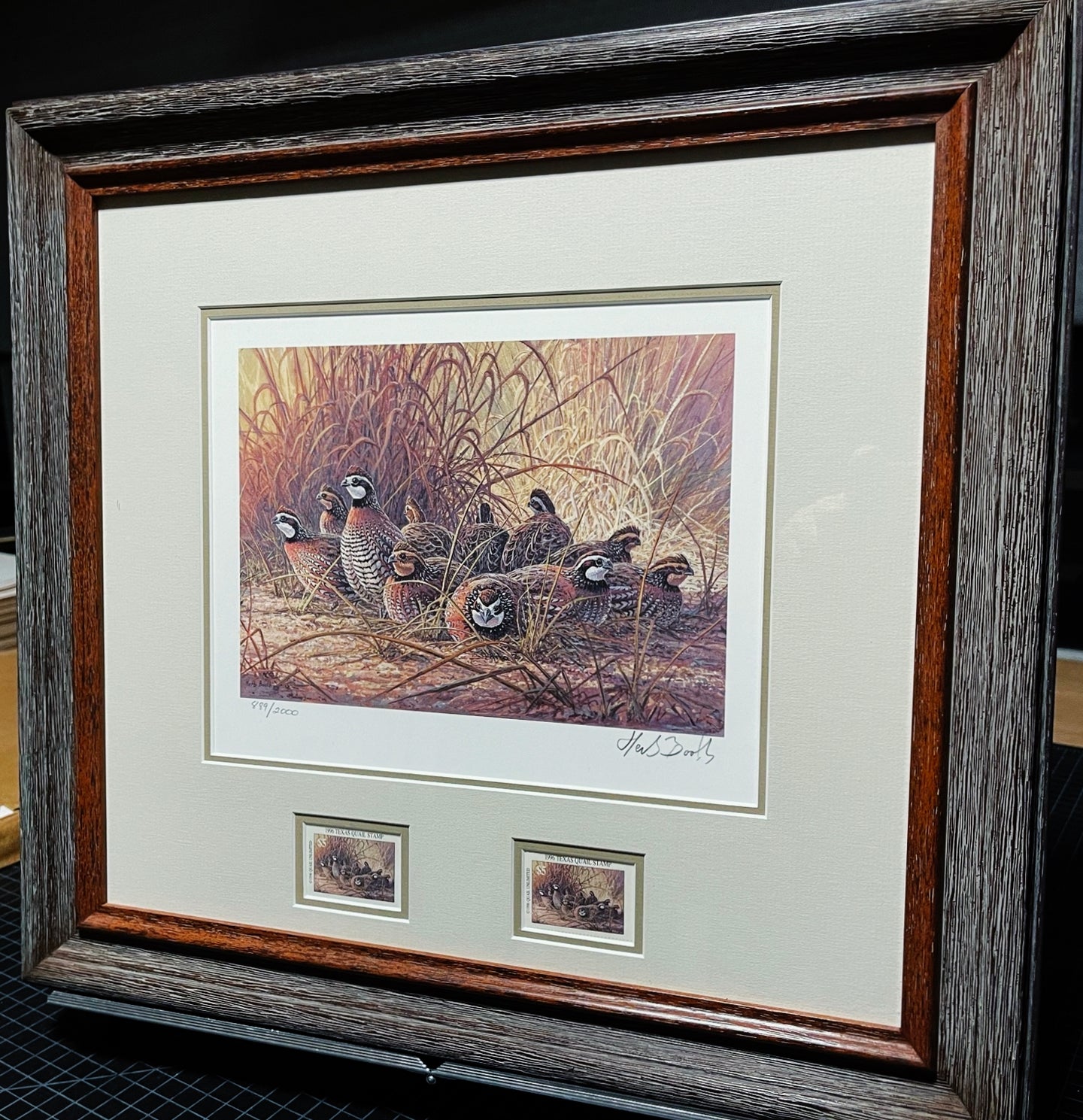 Herb Booth - 1996 Texas Quail Stamp Print With Double Stamps - Brand New Custom Sporting Frame