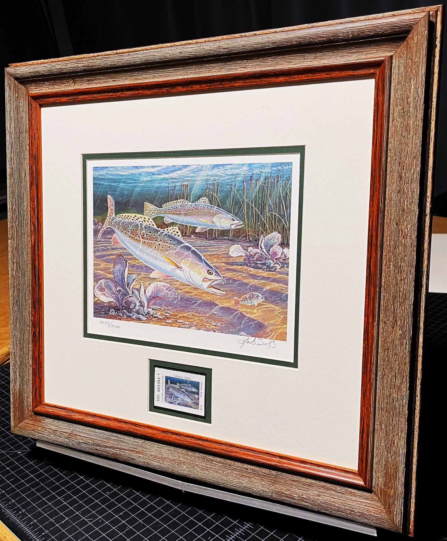 Herb Booth - 2000 Texas Saltwater Stamp Print With Stamp - Brand New Custom Sporting Frame