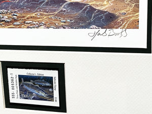 Herb Booth - 2000 Texas Saltwater Stamp Print With Stamp - Brand New Custom Sporting Frame