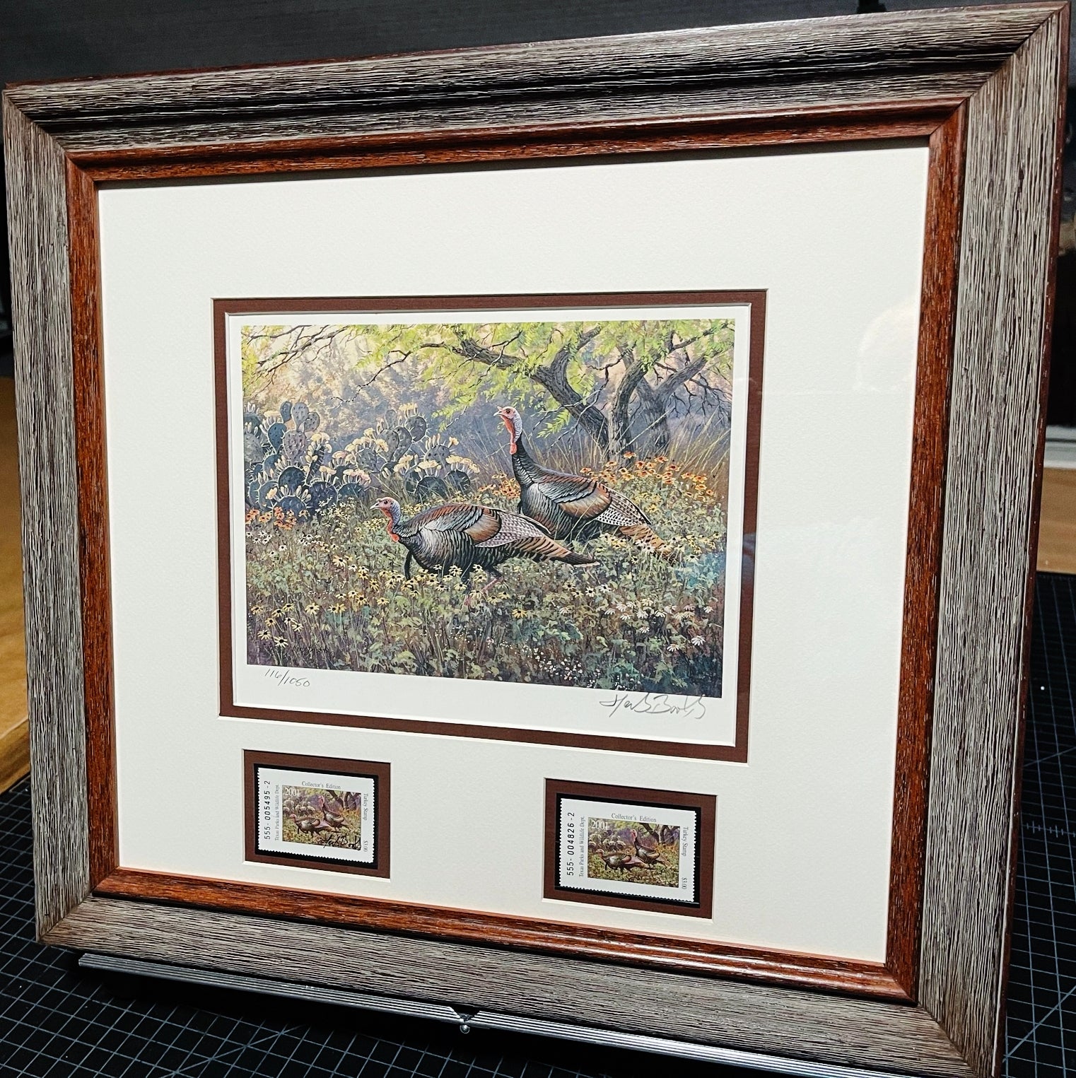 Herb Booth - 2001 Texas Turkey Stamp Print With Double Stamps - Brand New Custom Sporting Frame