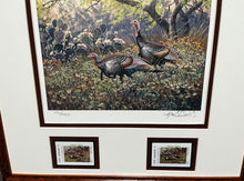 Load image into Gallery viewer, Herb Booth - 2001 Texas Turkey Stamp Print With Double Stamps - Brand New Custom Sporting Frame