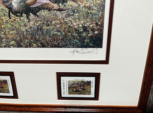 Herb Booth - 2001 Texas Turkey Stamp Print With Double Stamps - Brand New Custom Sporting Frame