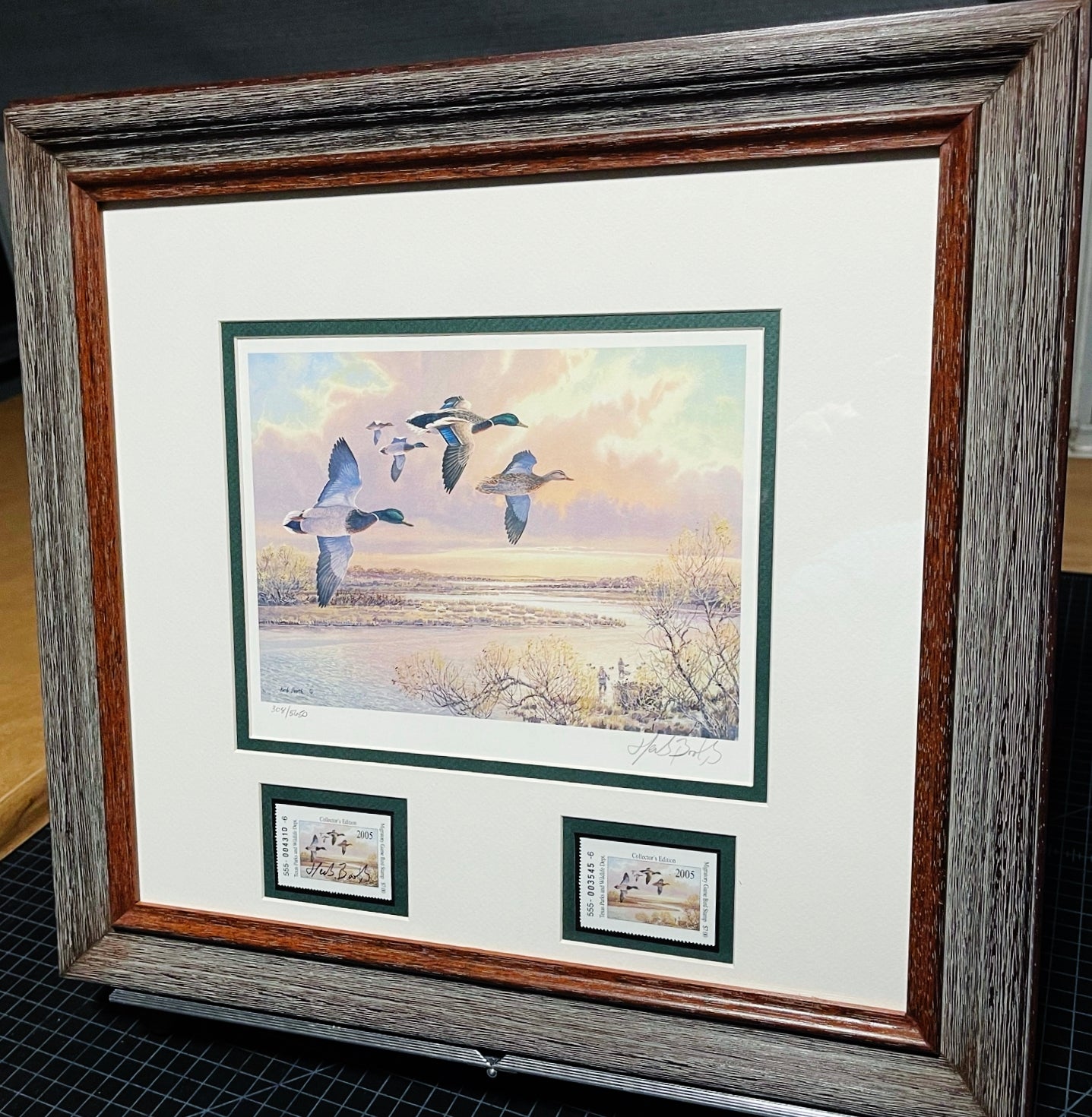 Herb Booth - 2005 Texas Migratory Waterfowl Duck Stamp Print With Double Stamps - Brand New Custom Sporting Frame