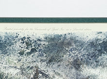 Load image into Gallery viewer, Herb Booth - A Winter Haven With Grouse Remarque - Lithograph - Brand New Custom Sporting Frame