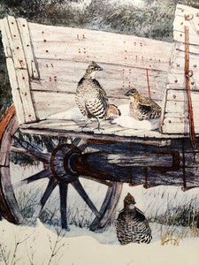 Herb Booth - A Winter Haven With Grouse Remarque - Lithograph - Brand New Custom Sporting Frame