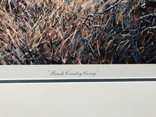 Load image into Gallery viewer, Herb Booth - Brush Country Covey - Lithograph - Brand New Custom Sporting Frame