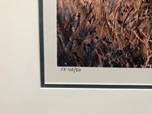 Load image into Gallery viewer, Herb Booth - Brush Country Covey - Lithograph - Brand New Custom Sporting Frame