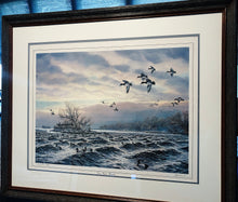 Load image into Gallery viewer, Herb Booth - Diver Island Bluebills - Lithograph AP - Brand New Custom Sporting Frame