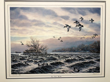 Load image into Gallery viewer, Herb Booth - Diver Island Bluebills - Lithograph AP - Brand New Custom Sporting Frame