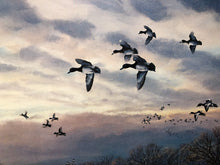 Load image into Gallery viewer, Herb Booth - Diver Island Bluebills - Lithograph AP - Brand New Custom Sporting Frame