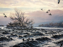 Load image into Gallery viewer, Herb Booth - Diver Island Bluebills - Lithograph AP - Brand New Custom Sporting Frame