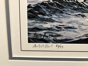 Herb Booth - Diver Island Bluebills - Lithograph AP - Brand New Custom Sporting Frame