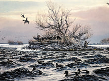 Load image into Gallery viewer, Herb Booth - Diver Island Bluebills - Lithograph AP - Brand New Custom Sporting Frame