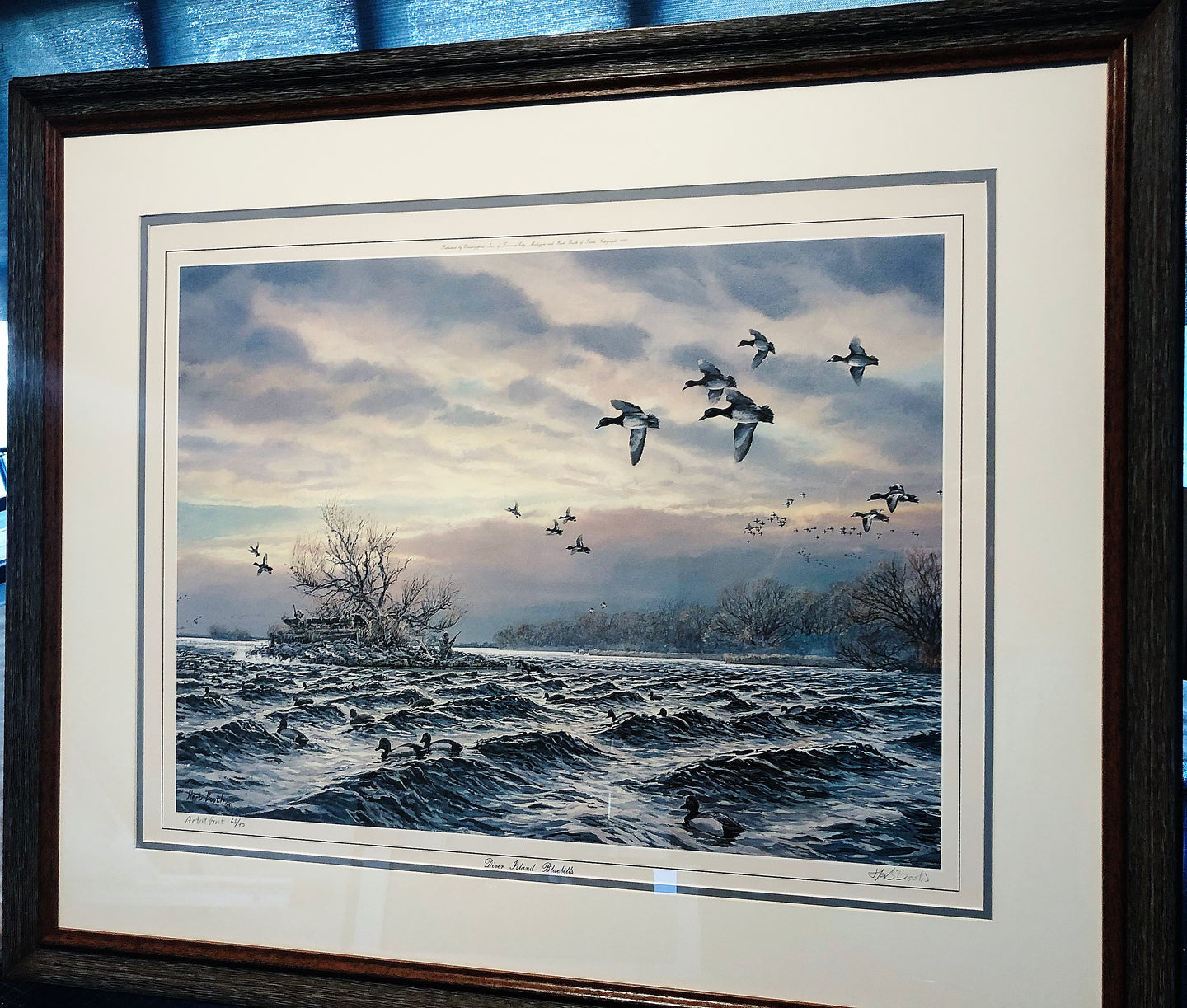 Herb Booth - Diver Island Bluebills - Lithograph AP - Brand New Custom Sporting Frame