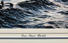 Load image into Gallery viewer, Herb Booth - Diver Island Bluebills - Lithograph AP - Brand New Custom Sporting Frame