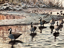 Load image into Gallery viewer, Herb Booth - Driftwood Blind - Lithograph AP - Brand New Custom Sporting Frame