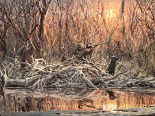 Load image into Gallery viewer, Herb Booth - Driftwood Blind - Lithograph AP - Brand New Custom Sporting Frame