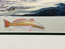 Load image into Gallery viewer, Herb Booth - Painters Surf - Print - Coastal Conservation Association CCA AP W Rare Booth Remarque - Brand New Custom Sporting Frame