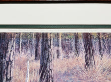 Load image into Gallery viewer, Herb Booth - Piney Woods Action - Lithograph - Brand New Custom Sporting Frame