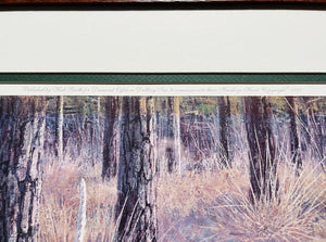 Herb Booth - Piney Woods Action - Lithograph - Brand New Custom Sporting Frame