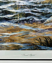Load image into Gallery viewer, Herb Booth Sand Spots Lithograph Artist Proof - Brand New Super Custom Sporting Frame  ***  SPRING SPECIAL  ***