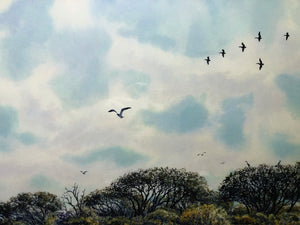 Herb Booth Sand Spots Lithograph Artist Proof - Brand New Super Custom Sporting Frame  ***  SPRING SPECIAL  ***