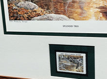 Load image into Gallery viewer, Herb Booth 1991 National Wild Turkey Federation NWTF Stamp Print Presidential Edition - Splendid Trio -  Brand New Custom Sporting Frame
