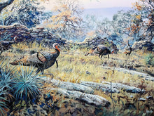 Load image into Gallery viewer, Herb Booth Stone Wall Gobblers GiClee Full Sheet - Brand New Custom Sporting Frame