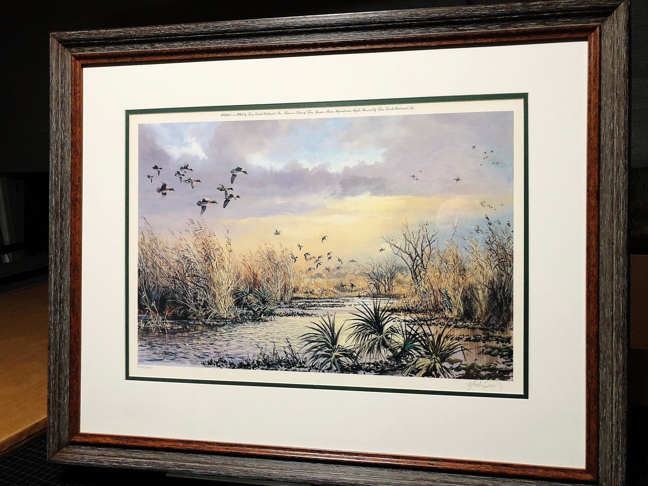 Herb Booth Teal And Palmetto Lithograph Year 1984 - Brand New Super Custom Sporting Frame